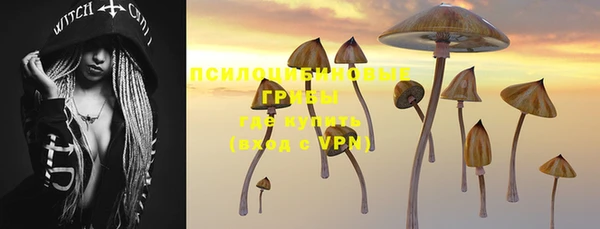 mdpv Заволжск