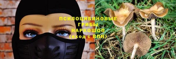 mdpv Заволжск