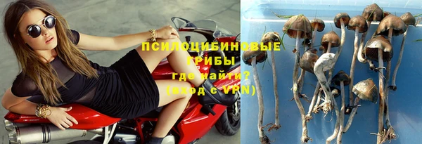 mdpv Заволжск