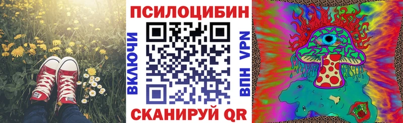 Галлюциногенные грибы Cubensis Добрянка